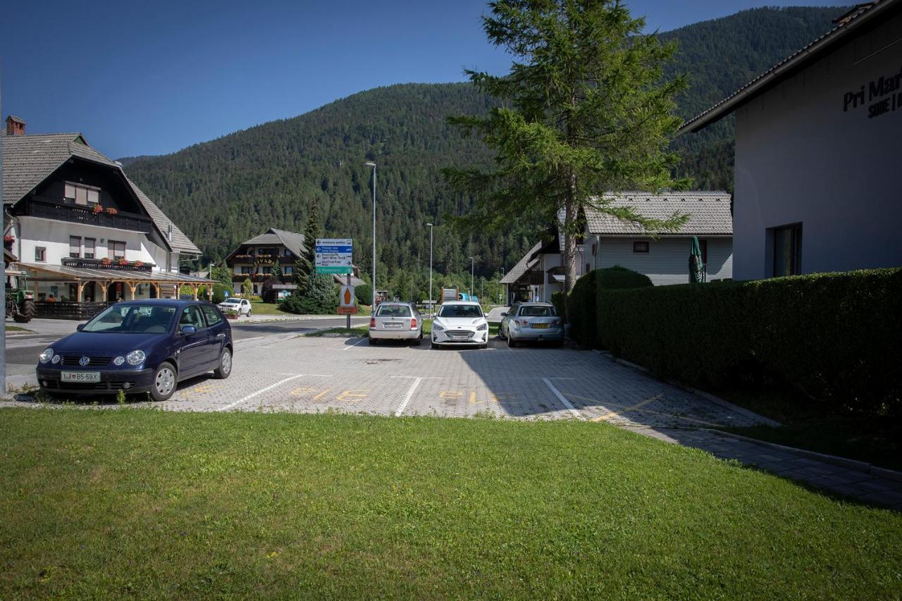 Apartments Villa Ajda Кранська Гора Екстер'єр фото